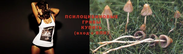MESCALINE Абинск